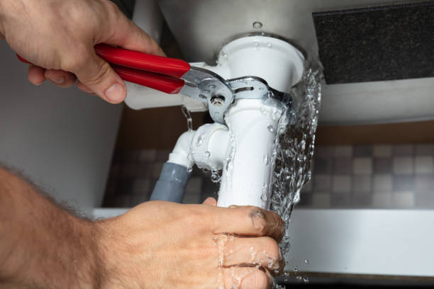 Best Water damage restoration process  in Charlotte Harbor, FL