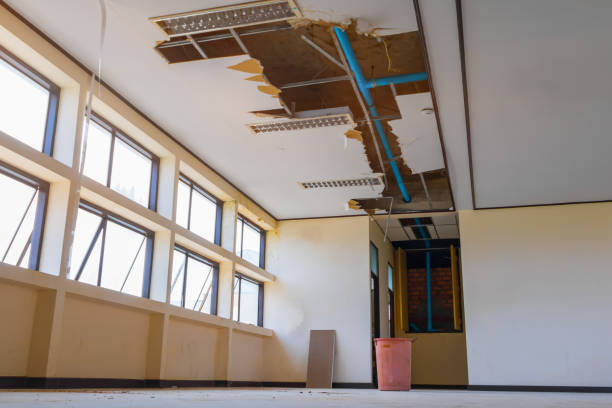 Best Ceiling water damage repair  in Charlotte Harbor, FL