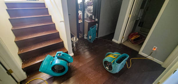 Best Water damage restoration insurance claims  in Charlotte Harbor, FL