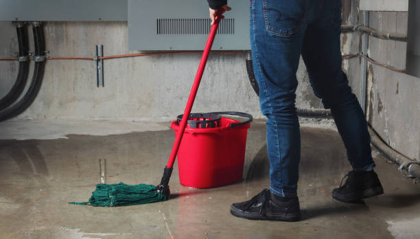 Best Flooded house restoration  in Charlotte Harbor, FL