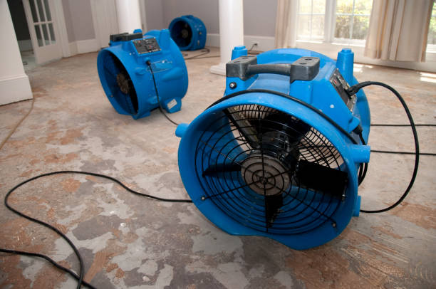 Best Water damage restoration specialists  in Charlotte Harbor, FL