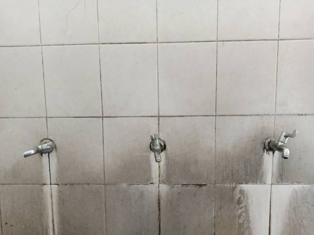 Best Flood damage cleanup  in Charlotte Harbor, FL