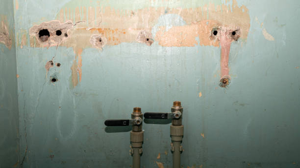 Best Water damage restoration near me  in Charlotte Harbor, FL