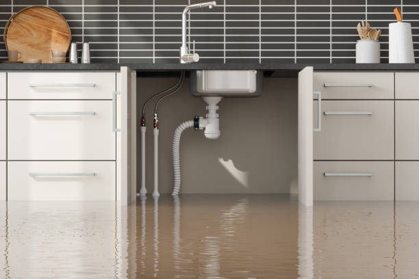 Best Local water damage restoration  in Charlotte Harbor, FL