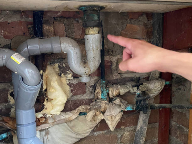Best 24-hour water damage restoration  in Charlotte Harbor, FL
